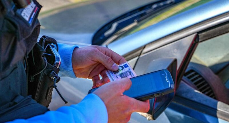 Kentucky driver's license fraud scheme targeted migrants: Ex-clerk