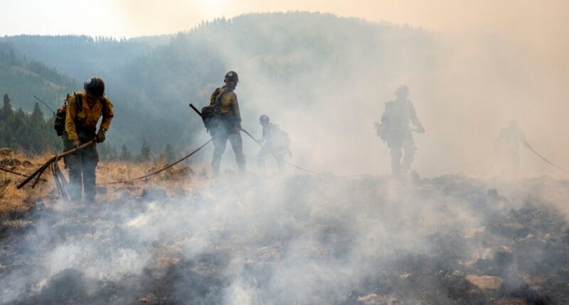 Lawyer: Oregon firefighter arrested by Border Patrol during wildfire was on track for legal status