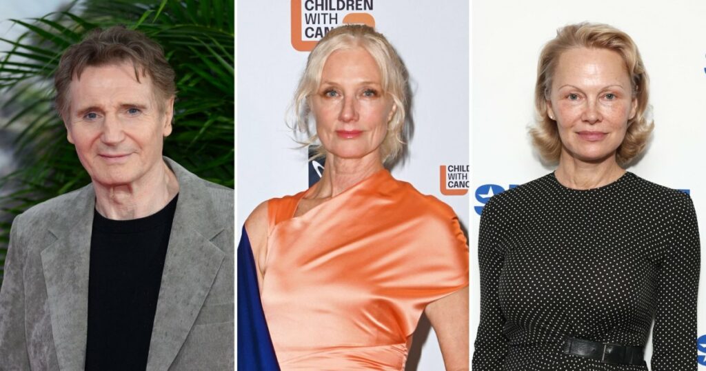 Liam Neeson and Pam Anderson Romance Backed By His Former Sister-in-Law