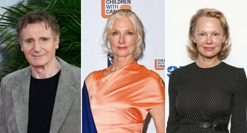 Liam Neeson and Pam Anderson Romance Backed By His Former Sister-in-Law