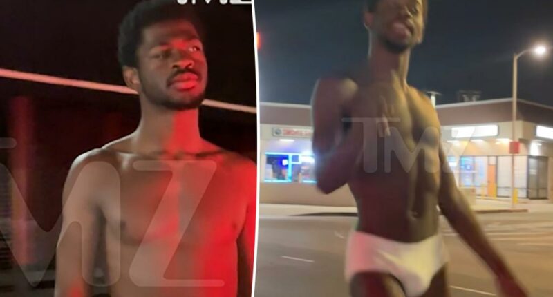 Lil Nas X allegedly punched cop in the face during bizarre near-naked outburst that led to arrest
