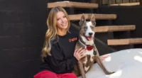 'Love Island USA' Host Ariana Madix Wants People to Give Rescue Pets a 'Second Chance' 