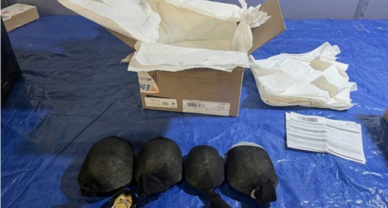 Man admits trying to smuggle 850 protected turtles valued at $1.4 million to Hong Kong