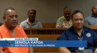 Man headed to prison for killing wife's lover with a machete