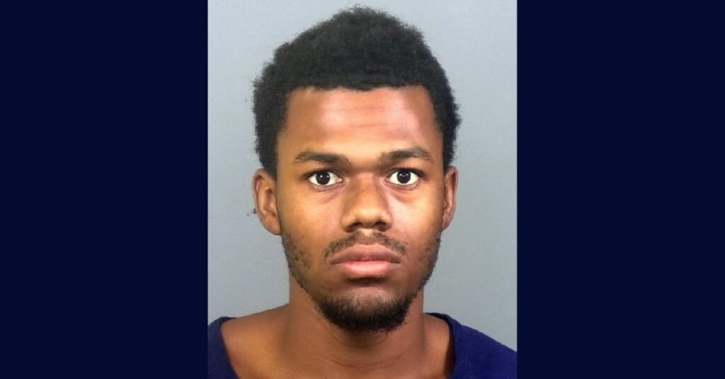 Man stabs brother's girlfriend until sibling shot him: Cops