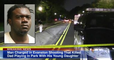 Man who killed dad playing Pokemon with kid pleads guilty