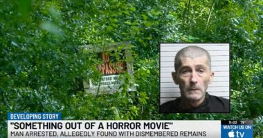 Man who lounged with wife's body parts faces murder now: DA