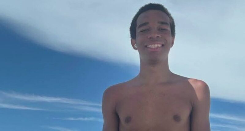 Manatee County deputies revealing new details on Giovanni Pelletier's death