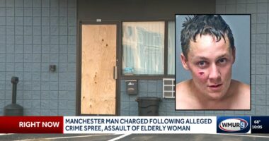 Man's crime spree ends abruptly after crash, chase: Police