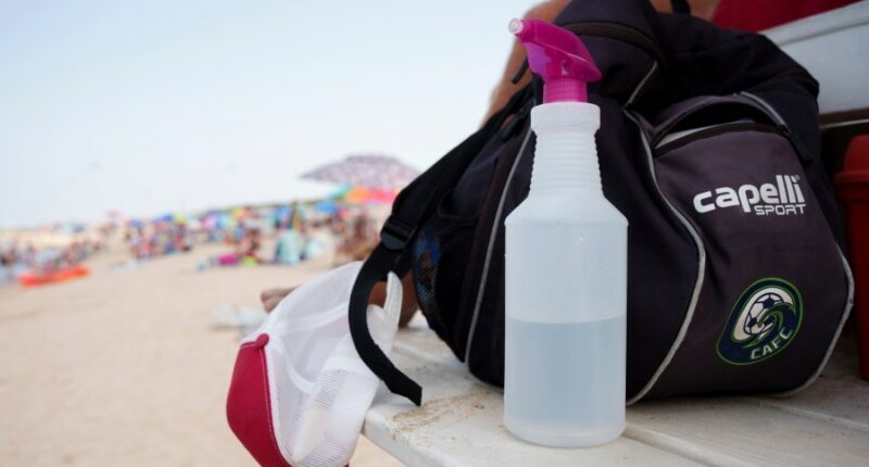 Many Delaware beachgoers feel the sting of a blooming jellyfish population