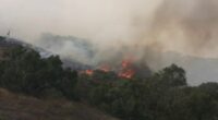 Massive wildfires burn out west as Canadian smoke moves east