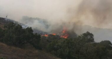 Massive wildfires burn out west as Canadian smoke moves east