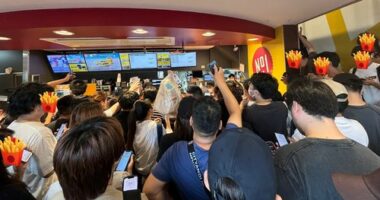 McDonald's Japan's Pokemon card Happy Meals promotion comes to an unhappy end