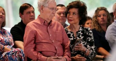 Mitch McConnell's legacy comes under fire in Kentucky race to replace him in the Senate