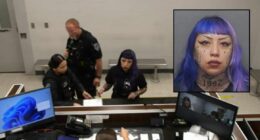 Mom who helped son plan attack pointed gun at baby: Police