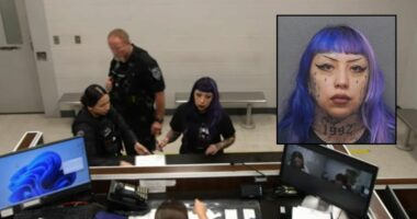 Mom who helped son plan attack pointed gun at baby: Police