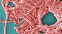 More than 100 people infected with Legionnaires' Disease in New York City