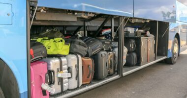 Mother accused of hiding her two-year-old daughter in a suitcase under a bus 'recently returned from Australia'