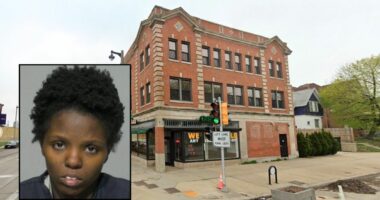 Mother living with dead baby inside cardboard box, cops say