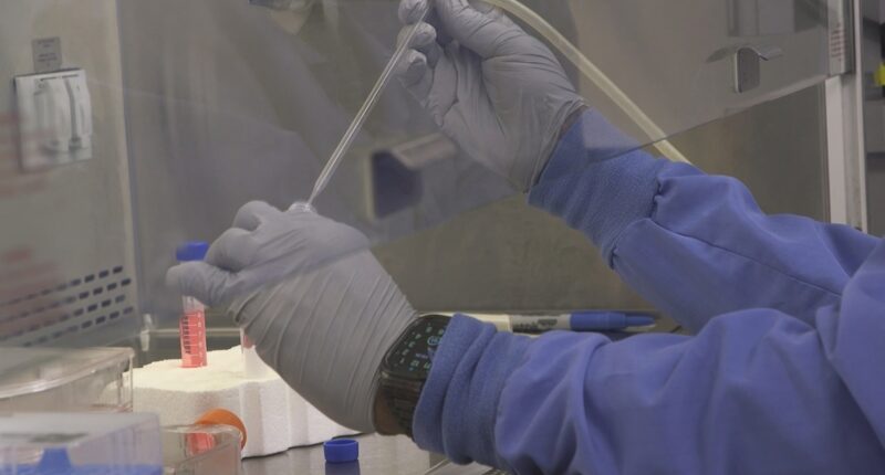 'My childhood dream': Jacksonville doctor's research will blast off in space