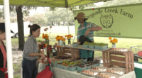 National Farmers Market day draws crowd to Forsyth Park