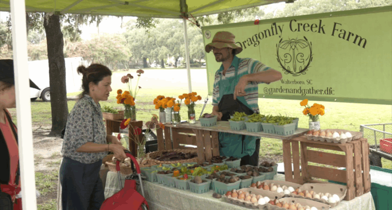National Farmers Market day draws crowd to Forsyth Park