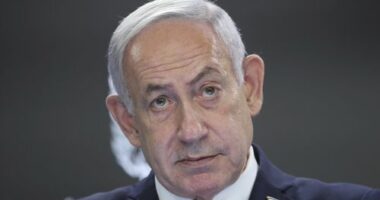 Netanyahu slams Albanese as 'weak politician' who 'betrayed Israel'