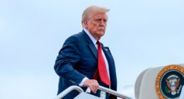 New wave of Trump tariffs to take effect this week