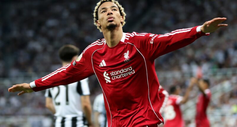 Newcastle 2-3 Liverpool PLAYER RATINGS: Who scored just 4.5 for the Reds? Which star was outstanding before horrendous moment?