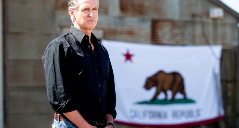 Newsom expands CHP crime suppression teams across California