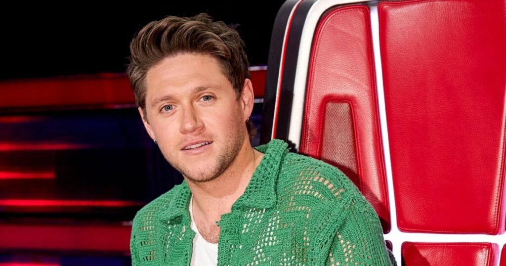 Niall Horan Says He Wishes He Didn’t Take a Year Off ‘The Voice’
