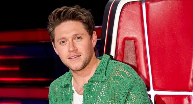 Niall Horan Says He Wishes He Didn’t Take a Year Off ‘The Voice’