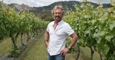 Noel Edmonds buys British property after reality show about New Zealand estate is brutally axed by ITV - despite rave reviews from critics and fans