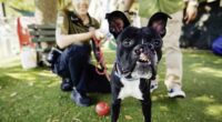 Oakley finds furever home thanks to community support