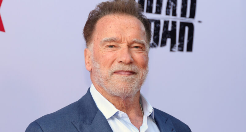 Only One Arnold Schwarzenegger Movie Has A 100% Score On Rotten Tomatoes