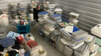 Over 100 fat-tailed geckos found abandoned in Central Florida storage unit