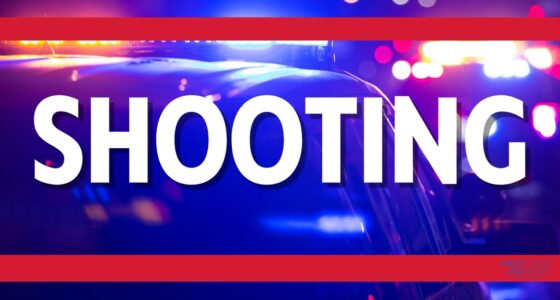 Palmdale Street shooting on Jacksonville's Northwest side leaves man dead