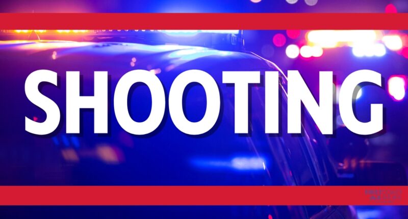Palmdale Street shooting on Jacksonville's Northwest side leaves man dead