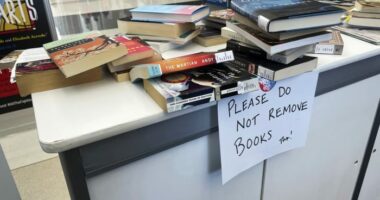 Part of Florida school book law ruled unconstitutional