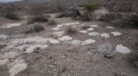 Piles of human cremated remains discovered outside Las Vegas