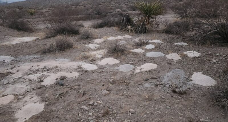 Piles of human cremated remains discovered outside Las Vegas