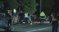 Police hunting driver over deadly hit and run