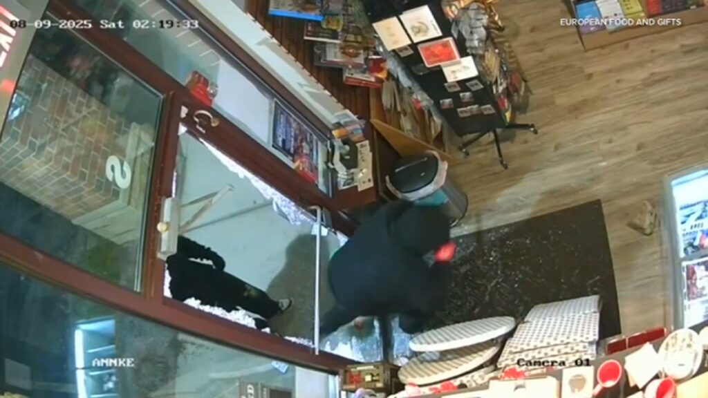 Police investigate small business burglaries in Third Lake, Illinois; theft at European Food & Gifts caught on surveillance video