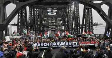 Premier rejects an 'open season' of protests on Sydney Harbour Bridge