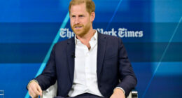 Prince Harry facing renewed scrutiny over his United States visa application