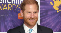 Prince Harry response to investigation into Sentebale
