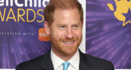 Prince Harry response to investigation into Sentebale