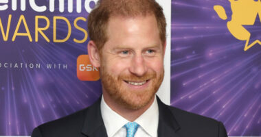 Prince Harry response to investigation into Sentebale