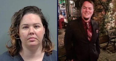 Prius driver going to prison for fleeing scene of crash