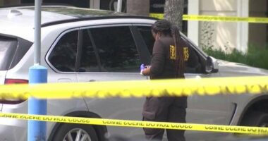 Report reveals passenger in stolen SUV also arrested, driver shot and killed by Ocoee Police in Publix Parking lot